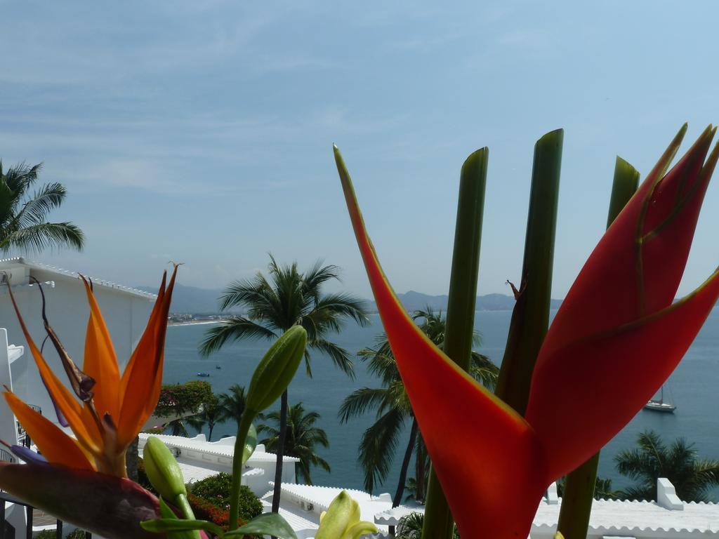 Dolphin Cove Inn Manzanillo Exteriör bild